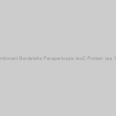 Image of Recombinant Bordetella Parapertussis leuC Protein (aa 1-467)